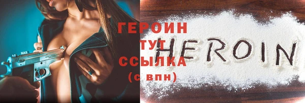 прущие грибы Новозыбков