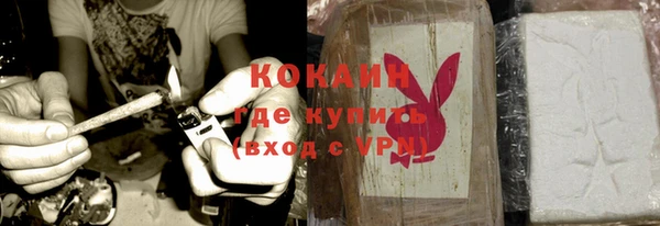 прущие грибы Новозыбков