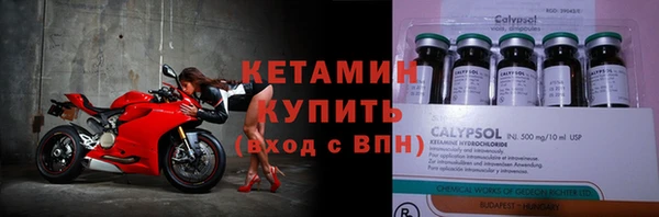 прущие грибы Новозыбков