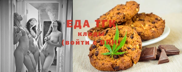 дживик Ельня