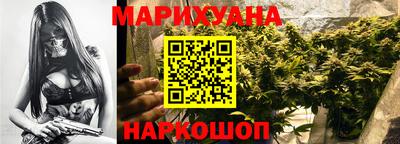 прущие грибы Абакан
