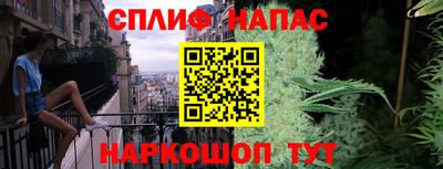 прущие грибы Абакан