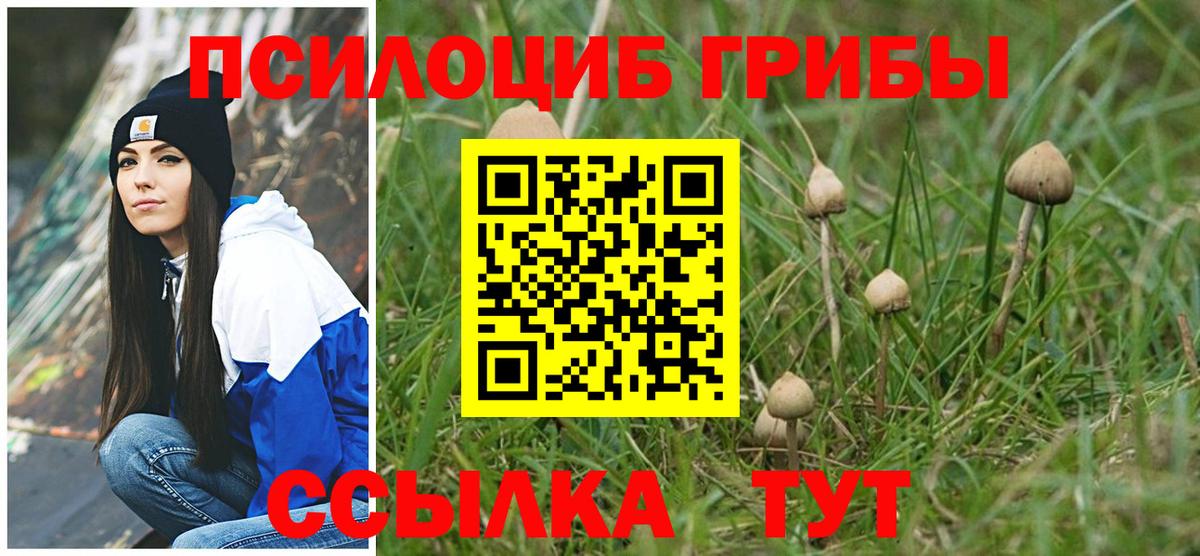 Псилоцибиновые грибы GOLDEN TEACHER Алексин