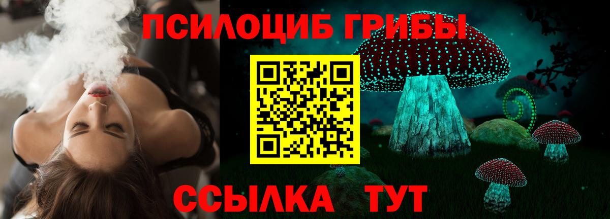 наркотики  Псилоцибиновые грибы ЛСД  Вход с VPN  Алексин 